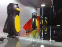 Easter Island penguins