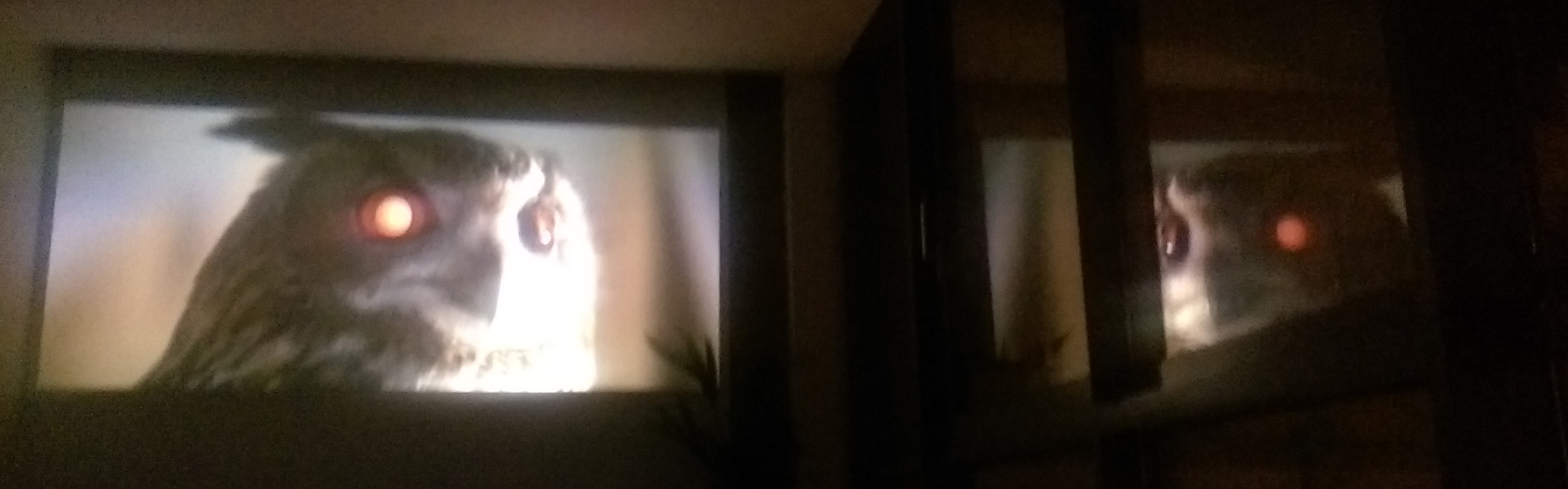 Tyrell Corporation artificial owl